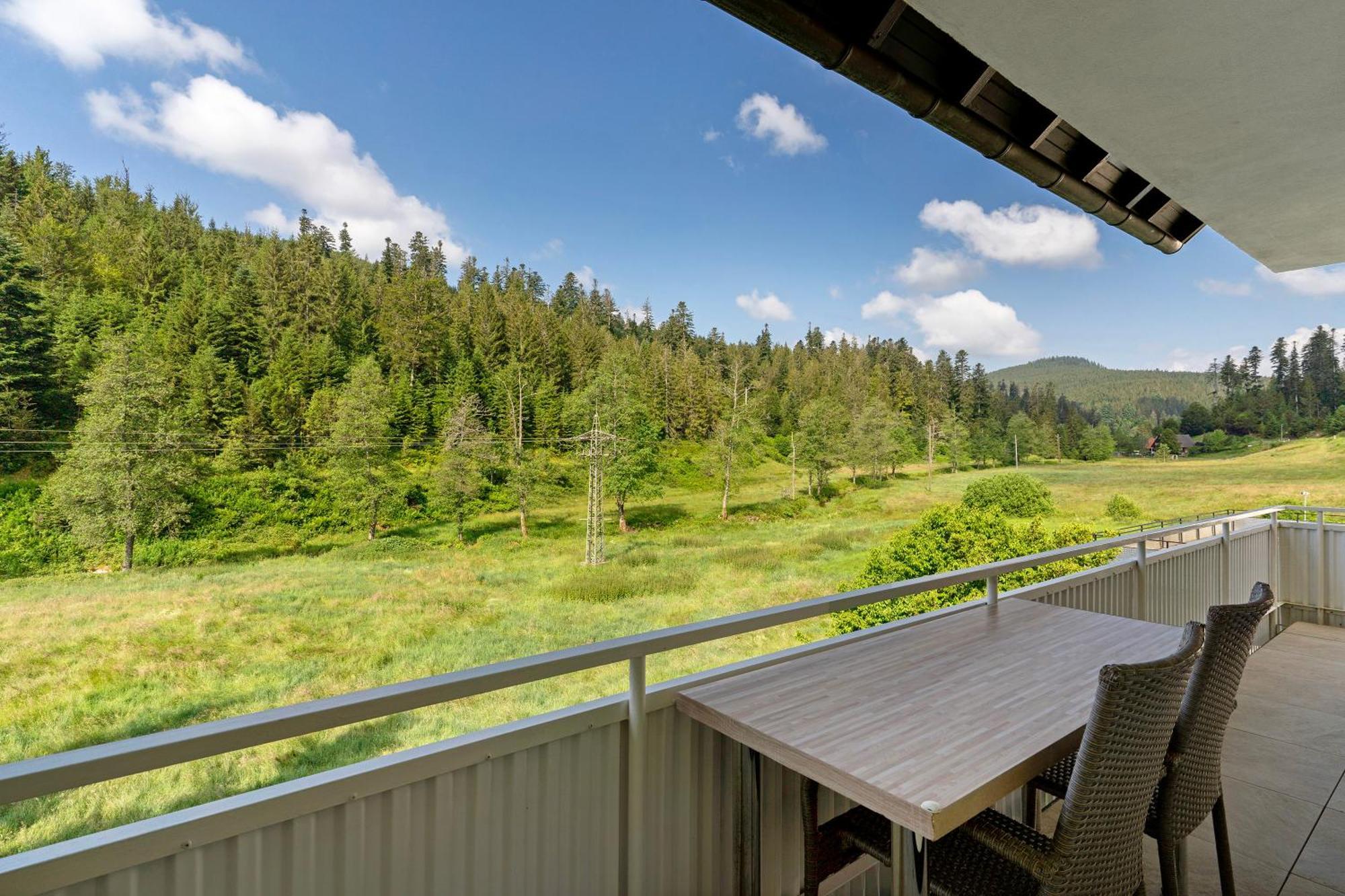 Haus Gisela Apartment Forbach Bagian luar foto